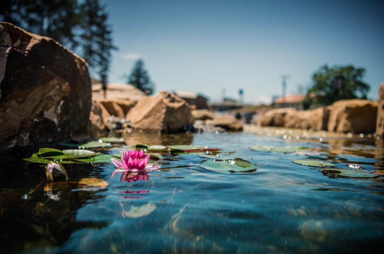 ויסקונסין דלס Natura Treescape Resort מראה חיצוני תמונה